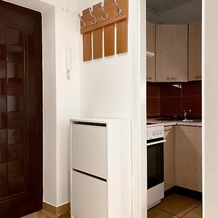 Apartment Bright And Spacious In Krakow